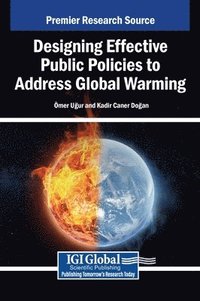 bokomslag Designing Effective Public Policies to Address Global Warming