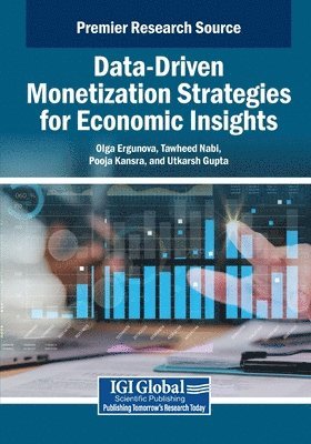 Olga Ergunova, Tawheed Nabi - Data-Driven Monetization Strategies for Economic Insights, Häftad