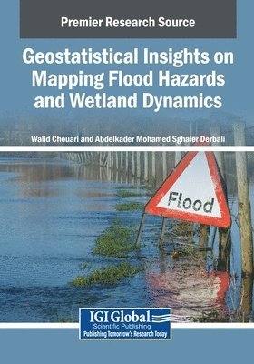 bokomslag Geostatistical Insights on Mapping Flood Hazards and Wetland Dynamics