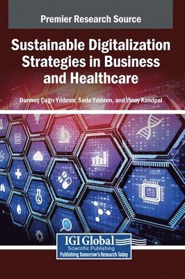 bokomslag Sustainable Digitalization Strategies in Business and Healthcare