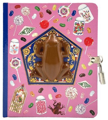 Harry Potter: Chocolate Frog Squishy Lock & Key Diary 1
