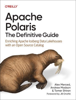 Alex Merced, Andrew Madson, Tomer Shiran - Apache Polaris - The Definitive Guide, Häftad
