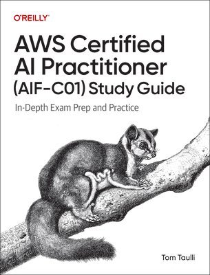 bokomslag AWS Certified AI Practitioner Study Guide