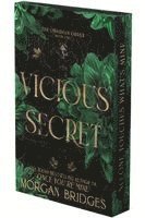 Vicious Secret: A Dark Romance