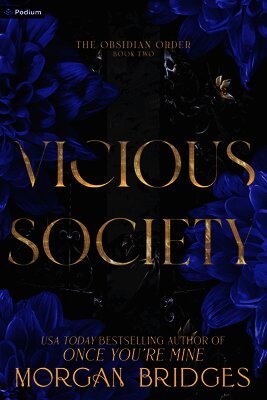 Morgan Bridges - Vicious Society, Häftad