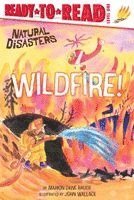 Wildfire!: Ready-To-Read Level 1