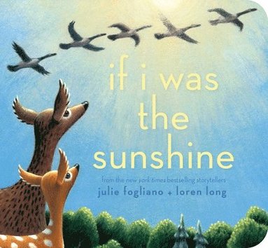 Julie Fogliano - If I Was the Sunshine, Kartonnage