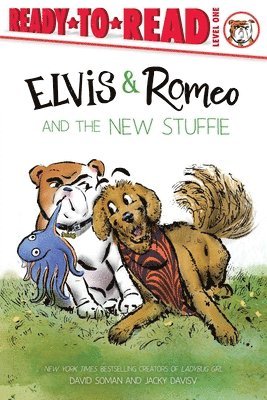 David Soman - Elvis & Romeo and the New Stuffie: Ready-To-Read Level 1, Inbunden