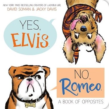David Soman, Jacky Davis - An Yes, Elvis. No, Romeo., Kartonnage