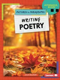 bokomslag Writing Poetry