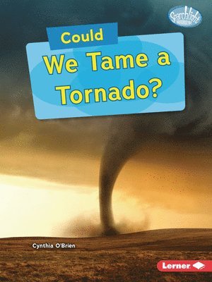 Cynthia O'Brien - Could We Tame a Tornado?, Häftad