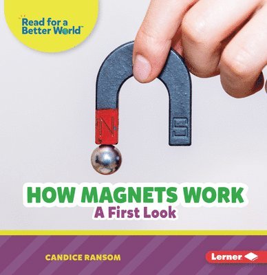 How Magnets Work: A First Look