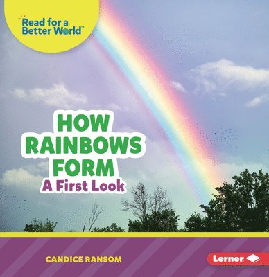 How Rainbows Form: A First Look