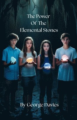 bokomslag Power Of The Elemental Stones