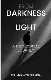 bokomslag From Darkness to Light: A Theological Journey