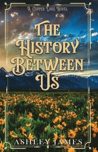 bokomslag History Between Us