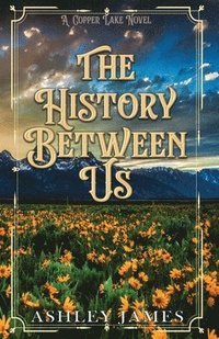 bokomslag The History Between Us