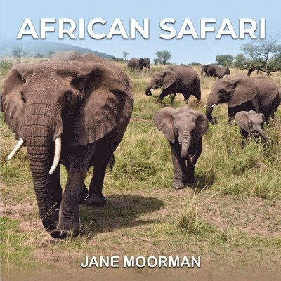 African Safari 1