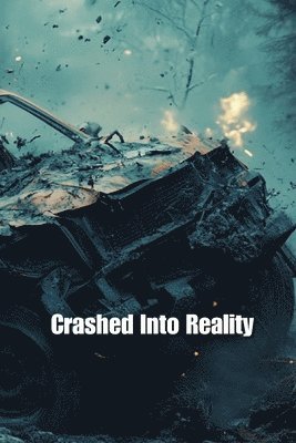 bokomslag Crashed Into Reality (Thriller)