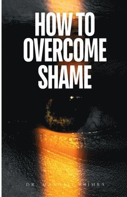 bokomslag How to Overcome Shame