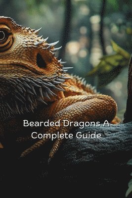 bokomslag Bearded Dragons a Complete Guide for Beginners