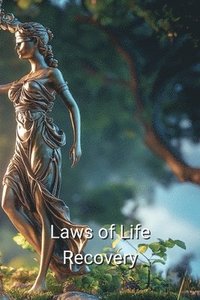 bokomslag Laws of Life Recovery