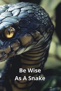 bokomslag Be Wise As A Snake