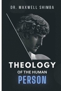 bokomslag Theology of the Human Person