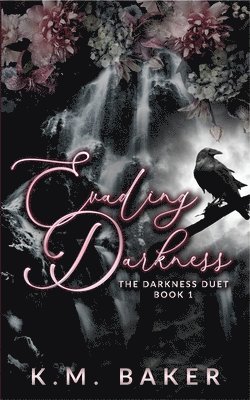 K M Baker, K. M. Baker, K.M. Baker - Evading Darkness, Häftad