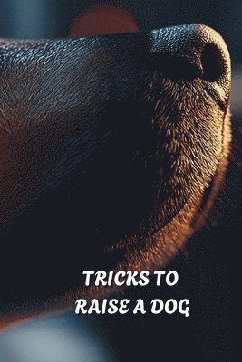 bokomslag Tricks to Raise a Dog