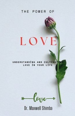 bokomslag Power of Love