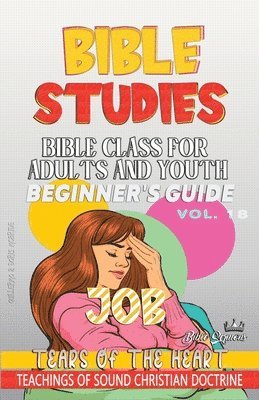 bokomslag Bible Class for Adults and Youth: Beginner's Guide: Job