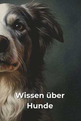 bokomslag Lustiges und unntzes Wissen ber Hunde