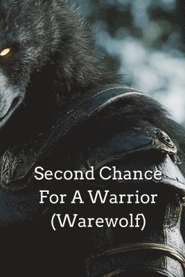 Second Chance For A Warrior 1