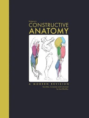 bokomslag Bridgman's Constructive Anatomy: A Modern Revision Rewritten, Corrected, and Colorized