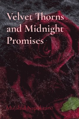 Velvet Thorns and Midnight Promises 1