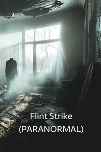 bokomslag Flint Strike (PARANORMAL)