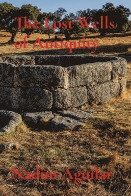 bokomslag The Lost Wells of Antiquity: Exploring the Hidden Springs of Ancient Civilizations