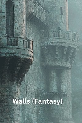 bokomslag Walls (Fantasy)