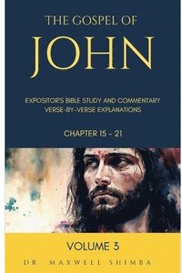 bokomslag The Gospel of John