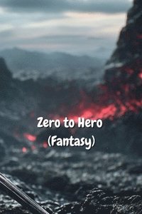 bokomslag Zero to Hero (Fantasy)