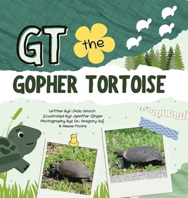 bokomslag GT the Gopher Tortoise