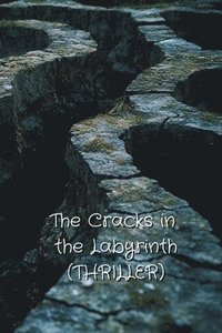 bokomslag Cracks in the Labyrinth (THRILLER)
