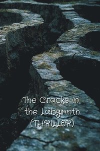 bokomslag The Cracks in the Labyrinth (THRILLER)