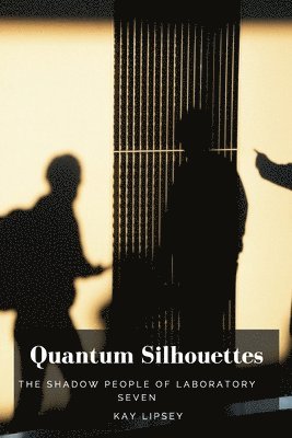 bokomslag Quantum Silhouettes