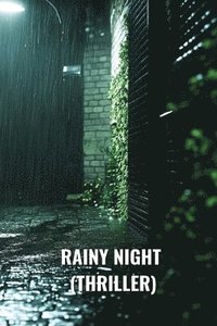 bokomslag Rainy Night (Thriller)