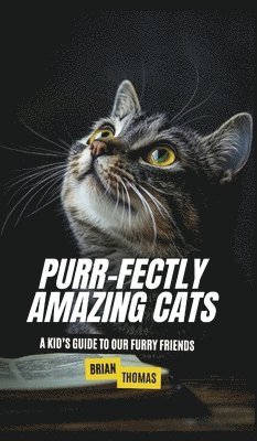 Purr-fectly Amazing Cats 1