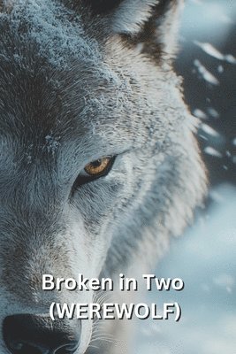 bokomslag Broken in Two (WEREWOLF)