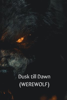 bokomslag Dusk till Dawn (WEREWOLF)