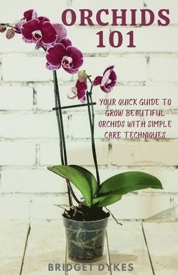 bokomslag Orchids 101